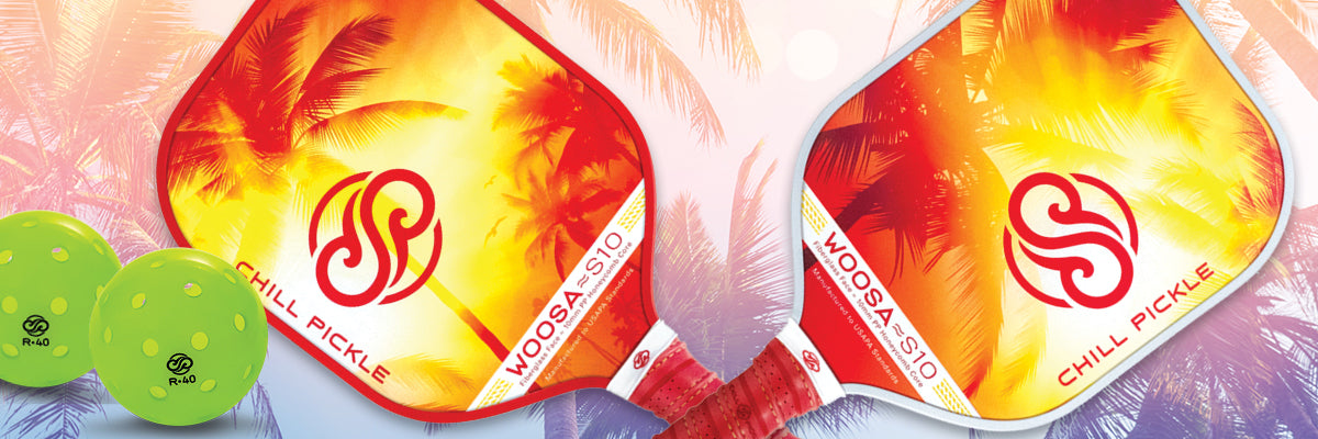 Beginner-friendly pickleball paddle banner with bright tropical color palette