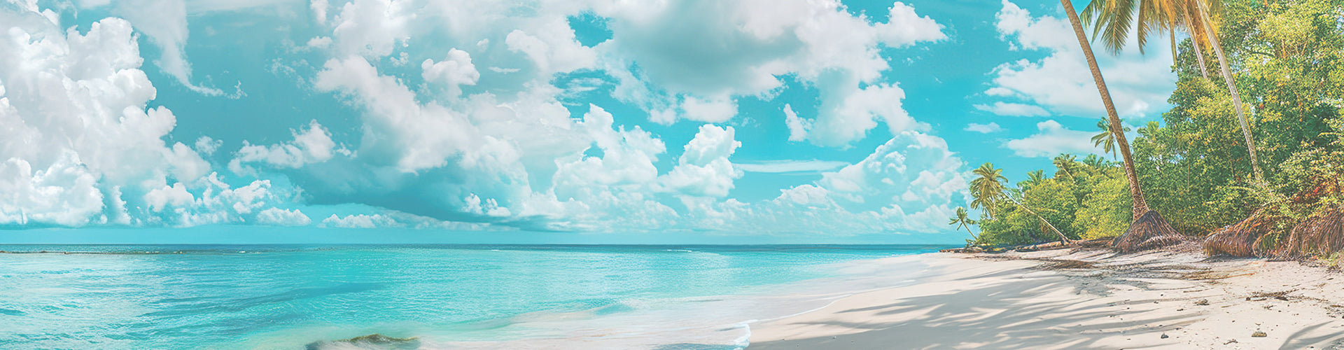 Tropical beach banner with palm trees, blue sky, and soft white clouds